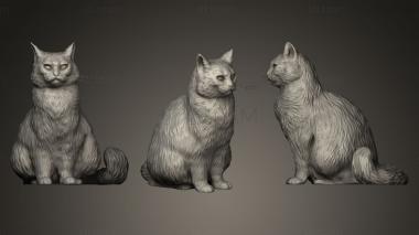 3D model Fluffy cat 15 (STL)